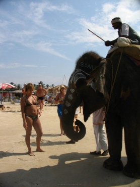 Private vacantion - #17